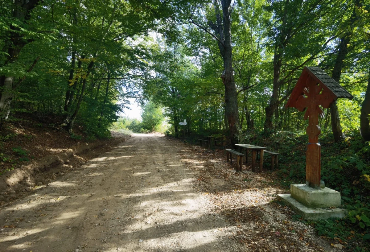 Consiliul Județean a alocat 520.000 de lei pentru „Drumul regelui“