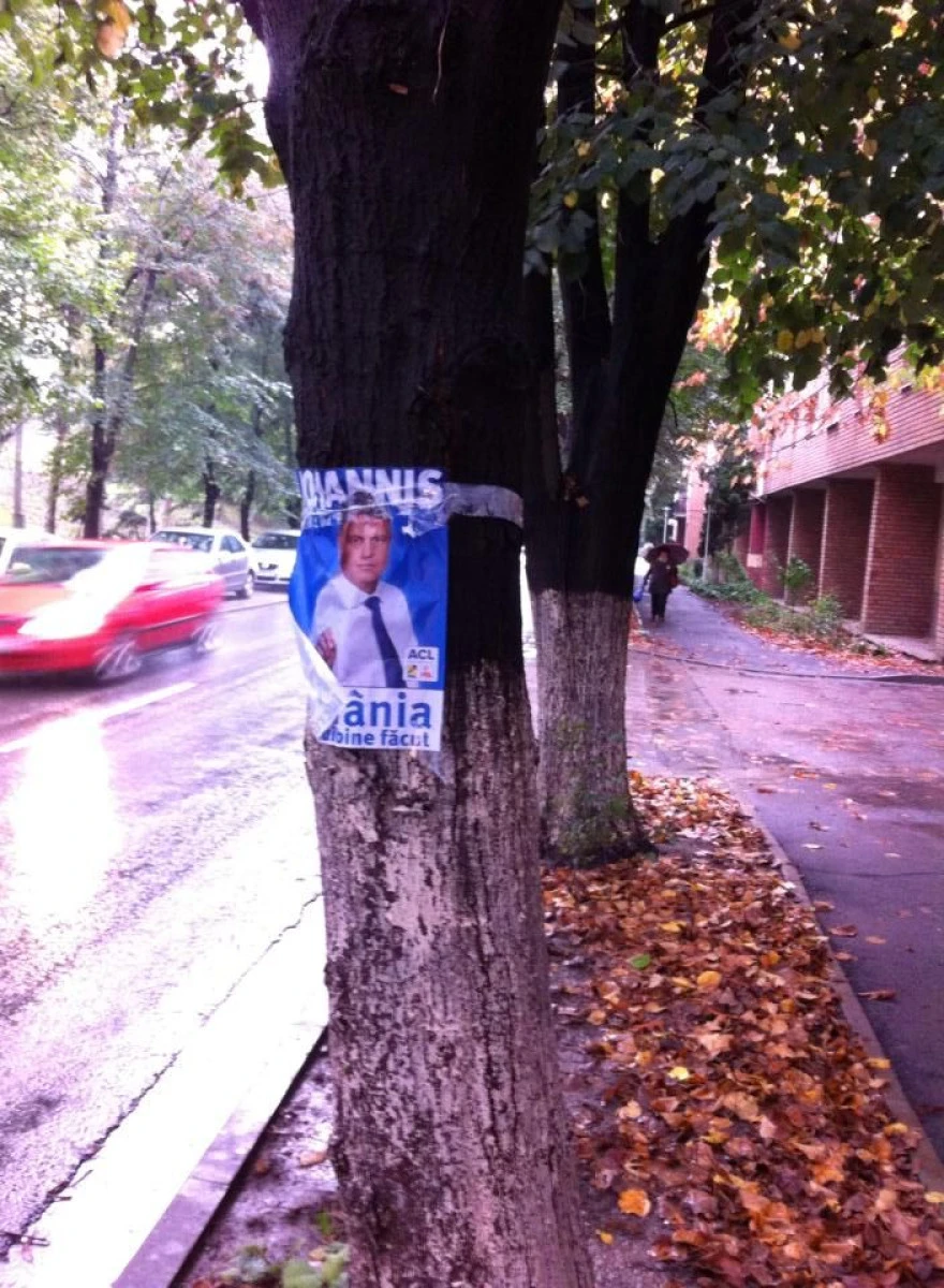 COPACII DIN MUNICIPIU AU FOST MURDARITI CU AFISELE LUI IOHANNIS