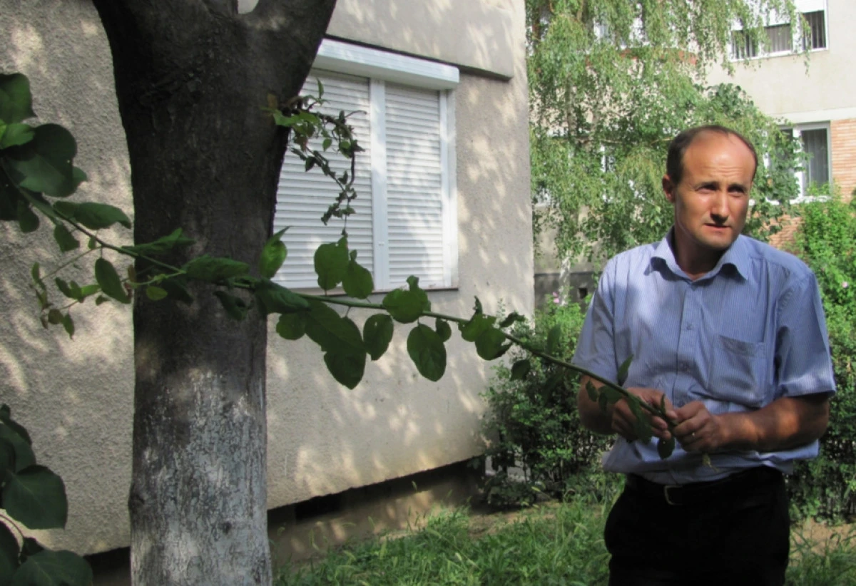 COPACUL CU ZECE SOIURI DE FRUCTE, RODUL PASIUNII UNUI ORĂDEAN