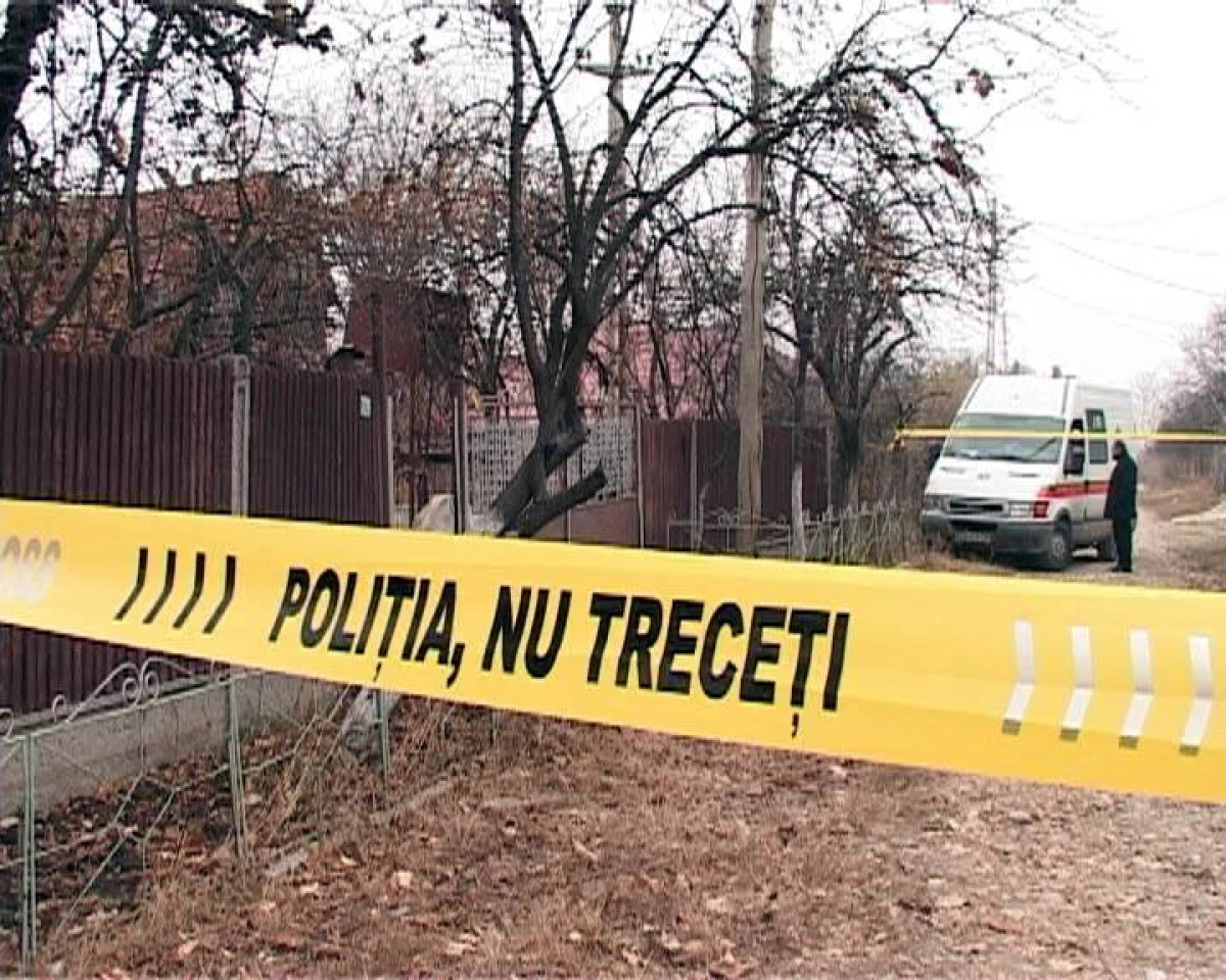 Crimă înfiorătoare, în vestul țării! Bărbat decapitat cu drujba, în fața copiilor