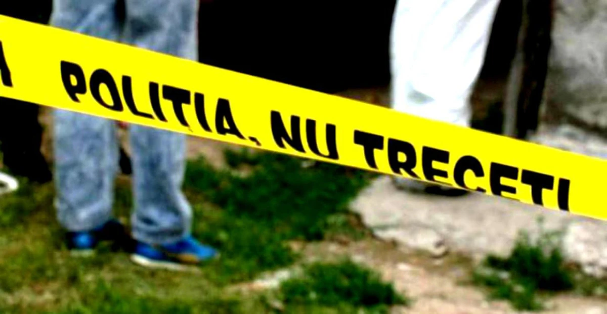 Crimă la Șepreuș! Și-a lovit fratele vitreg cu parul până l-a omorât