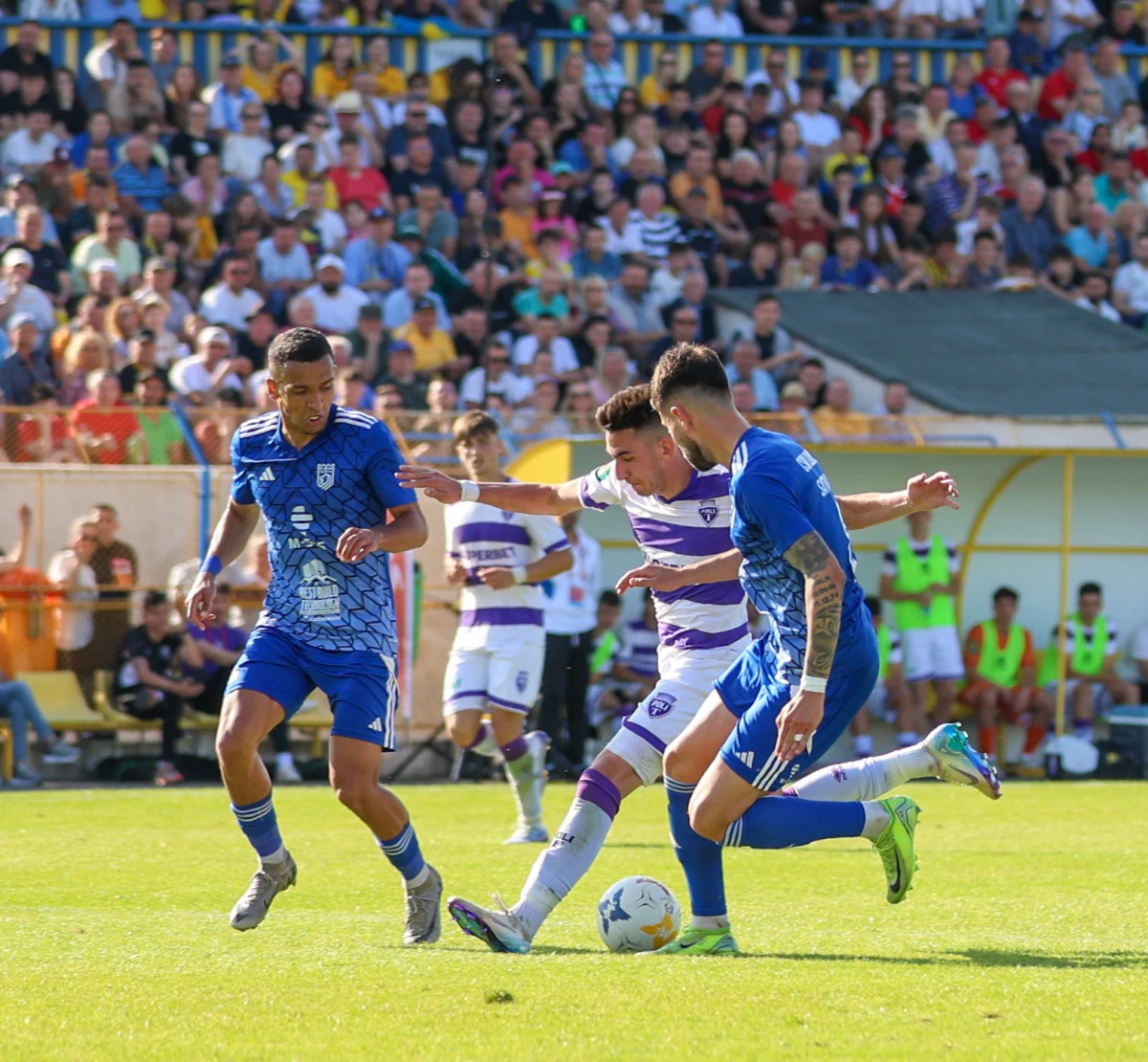 CS Dinamo este ca și promovată în Liga a II-a, Satu Mare are prima șansă în fața lui Poli!