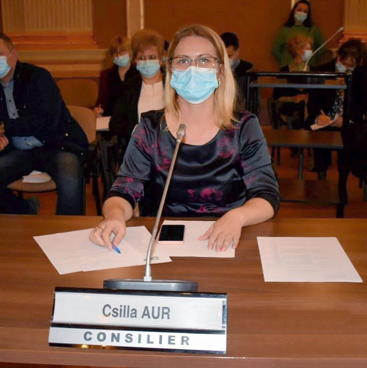 Csilla Aur: Aradul cultural avea nevoie de bani și i-a primit
