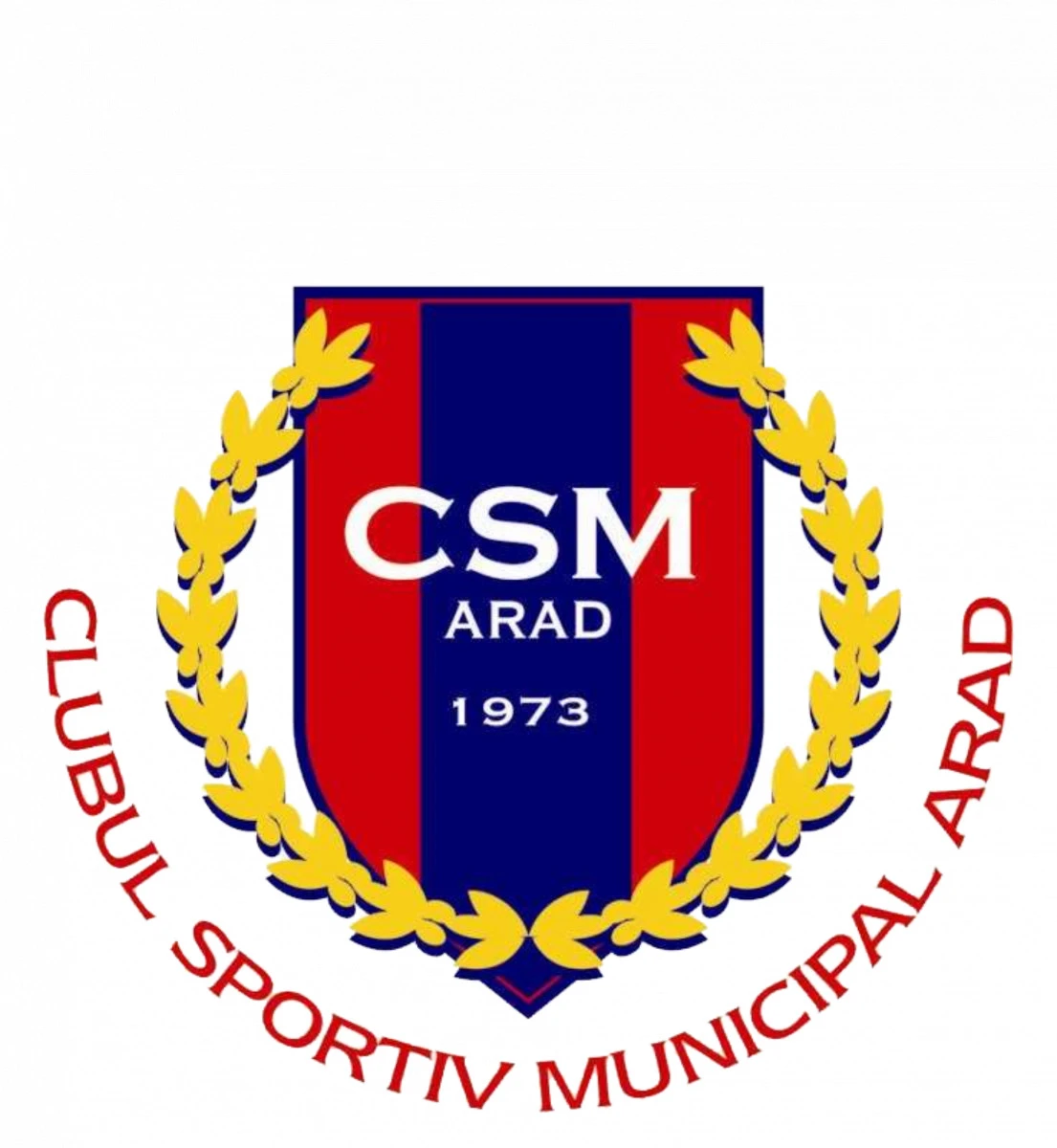 CSM Arad şi-a desemnat laureaţii anului 2021! Dana Dodean, Luca Joldea şi Andreea Popescu, în capul listei