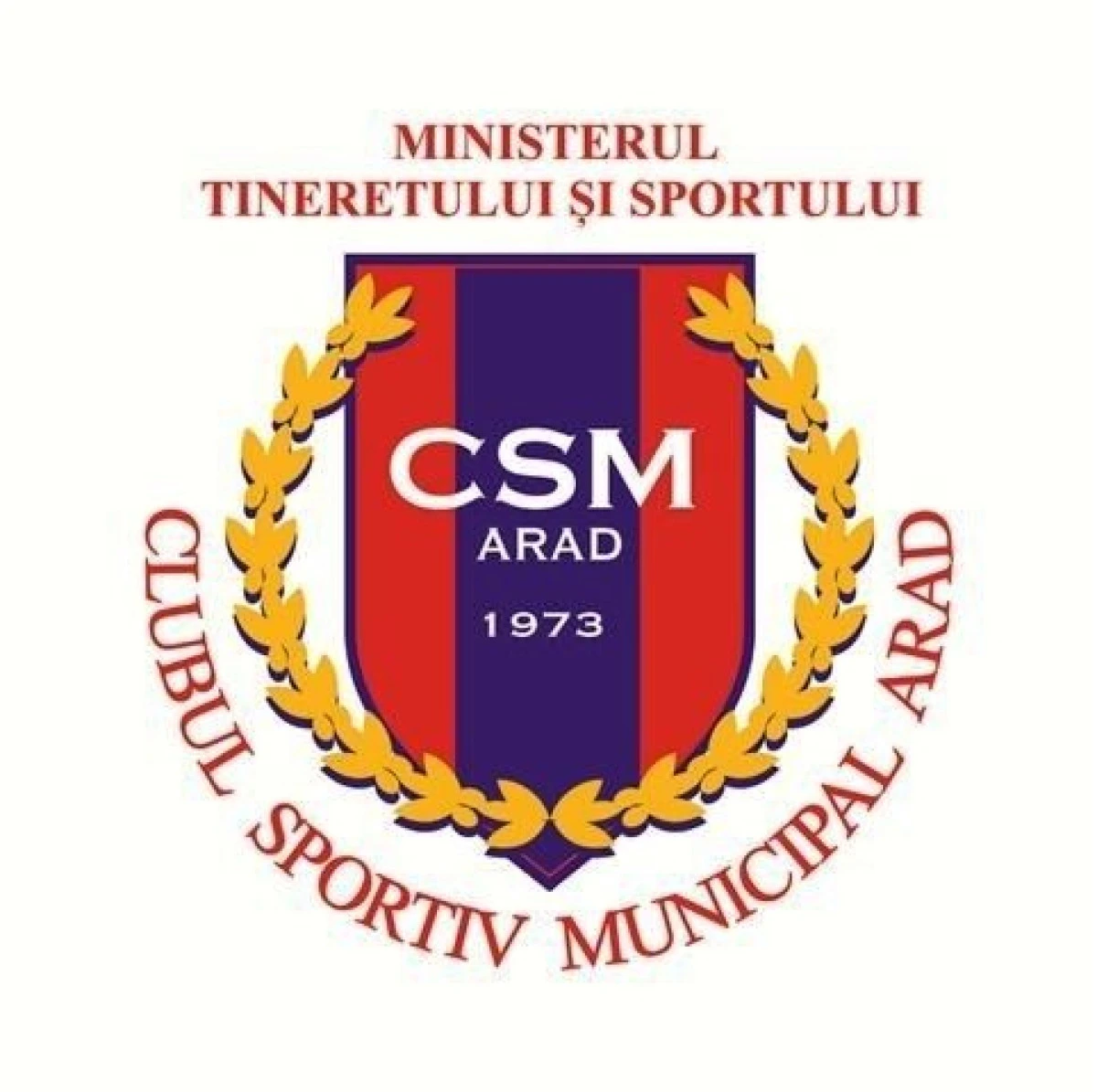 CSM Arad şi-a făcut bilanţul! Cine sunt performerii anului