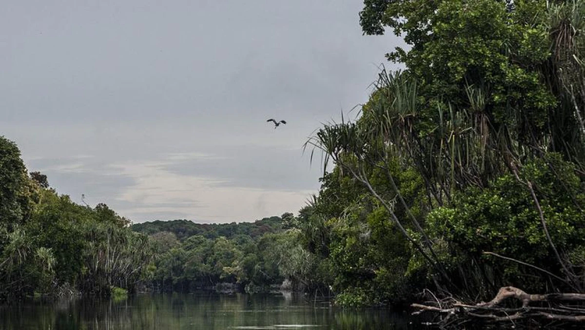 Cum arăta Antarctica în urmă cu 90 de milioane de ani