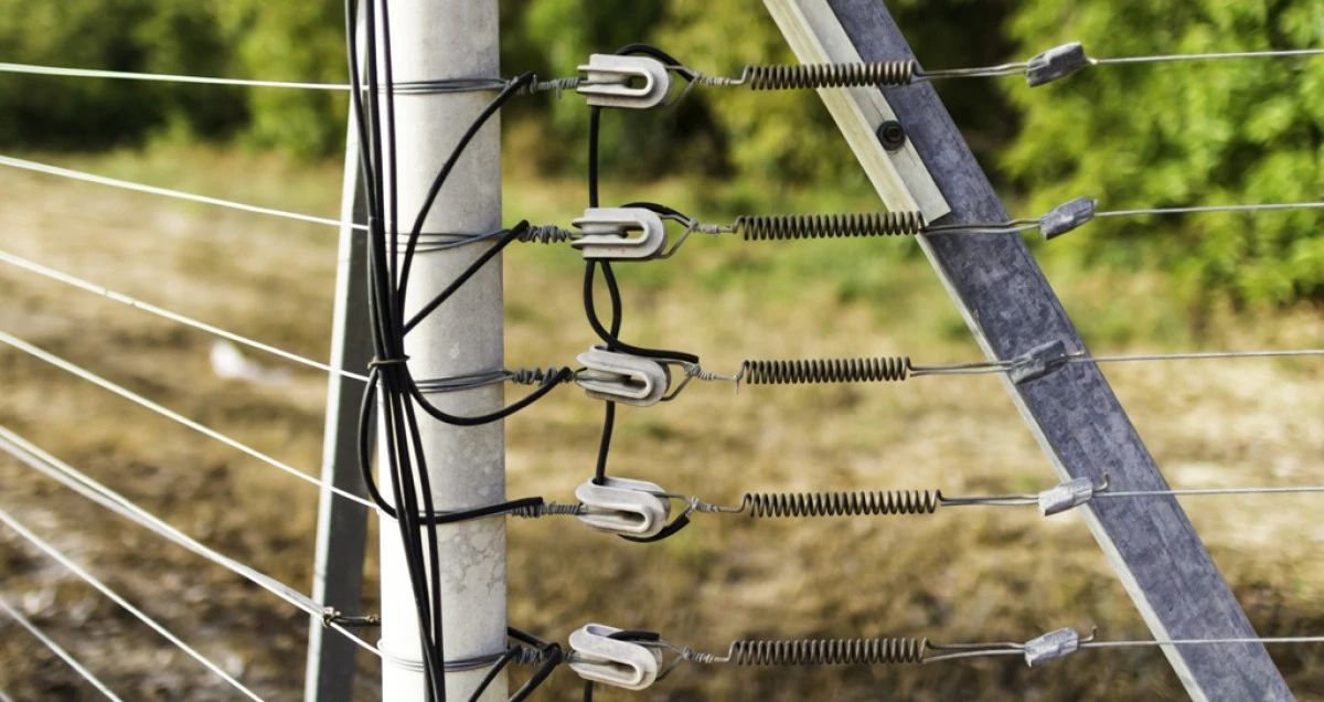 Cum funcționează gardurile electrice și de ce să le alegi pentru ferma ta