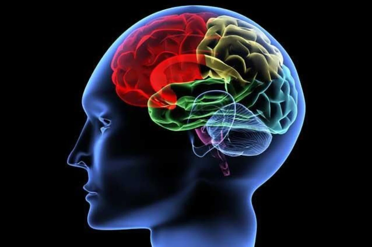 CUM PREVENIM ATACUL CEREBRAL VASCULAR