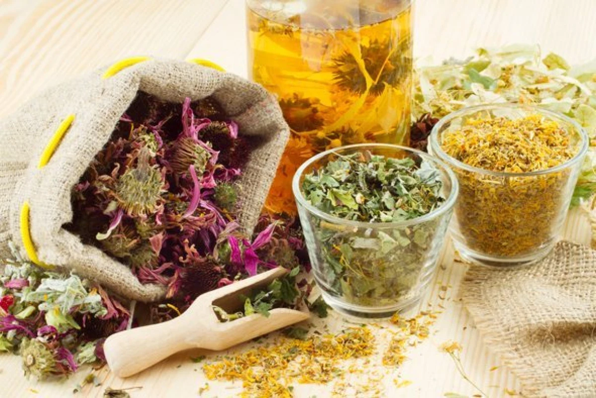 Cum se conservă corect plantele medicinale