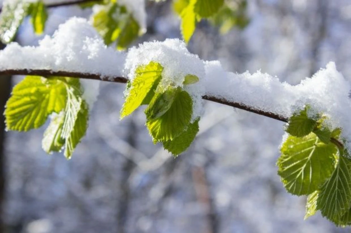 Cum va fi vremea de alegeri. Prognoza meteo pentru următoarele două săptămâni