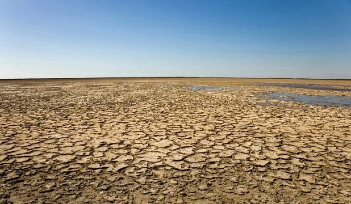 CUM VOR DISTRUGE SCHIMBARILE CLIMATICE PROGRESELE IN DOMENIUL SANITAR