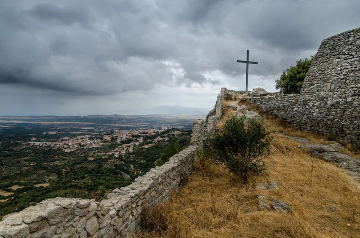 Cum vrea un sat din Sardinia să salveze un măslin de 2.000 de ani care a ars în urma unui mare incendiu de vegetație