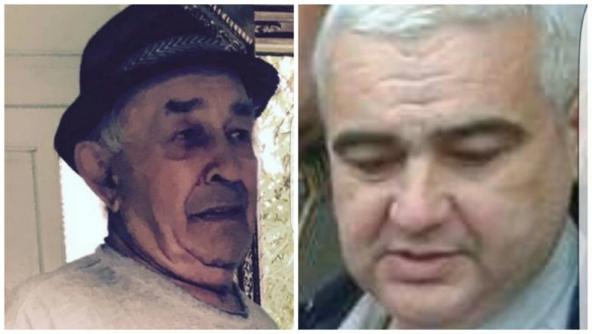 Cuplul Costea – Florea vrea să stăpânească Almașul, după modelul Avram