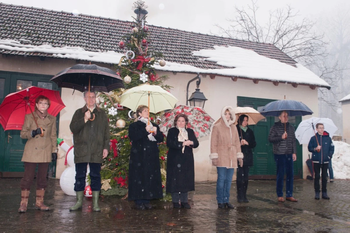 Custodele Coroanei şi Principele Radu vor petrece Crăciunul şi Anul Nou la Castelul Săvârşin