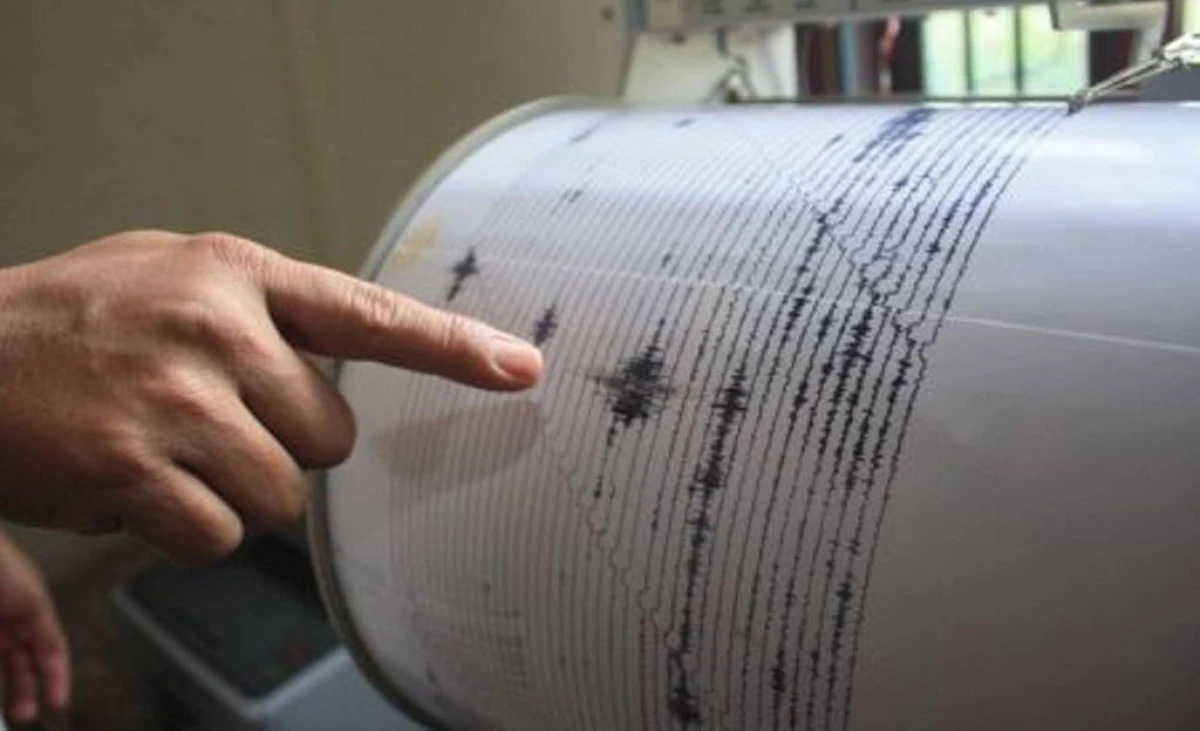 CUTREMUR DE 3, 2 GRADE IN VRANCEA. ESTE AL SAPTELEA SEISM IN LUNA IANUARIE