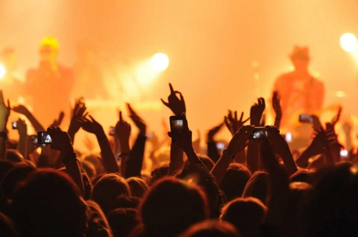 De ce concerte se pot bucura românii în 2017