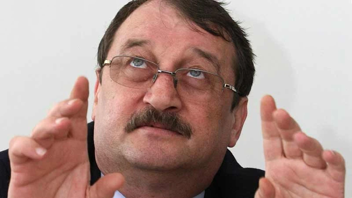 DECIZIA CURTII DE APEL: MIRCEA BASESCU RAMANE IN AREST