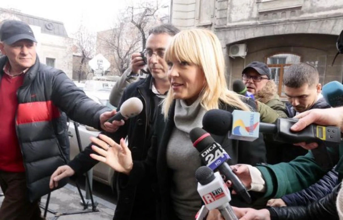 DECLARATIILE DE MARTORI DIN DOSARUL ELENEI UDREA DAU O ALTA DIMENSIUNE "GENTII CU 900.000 CU EURO"