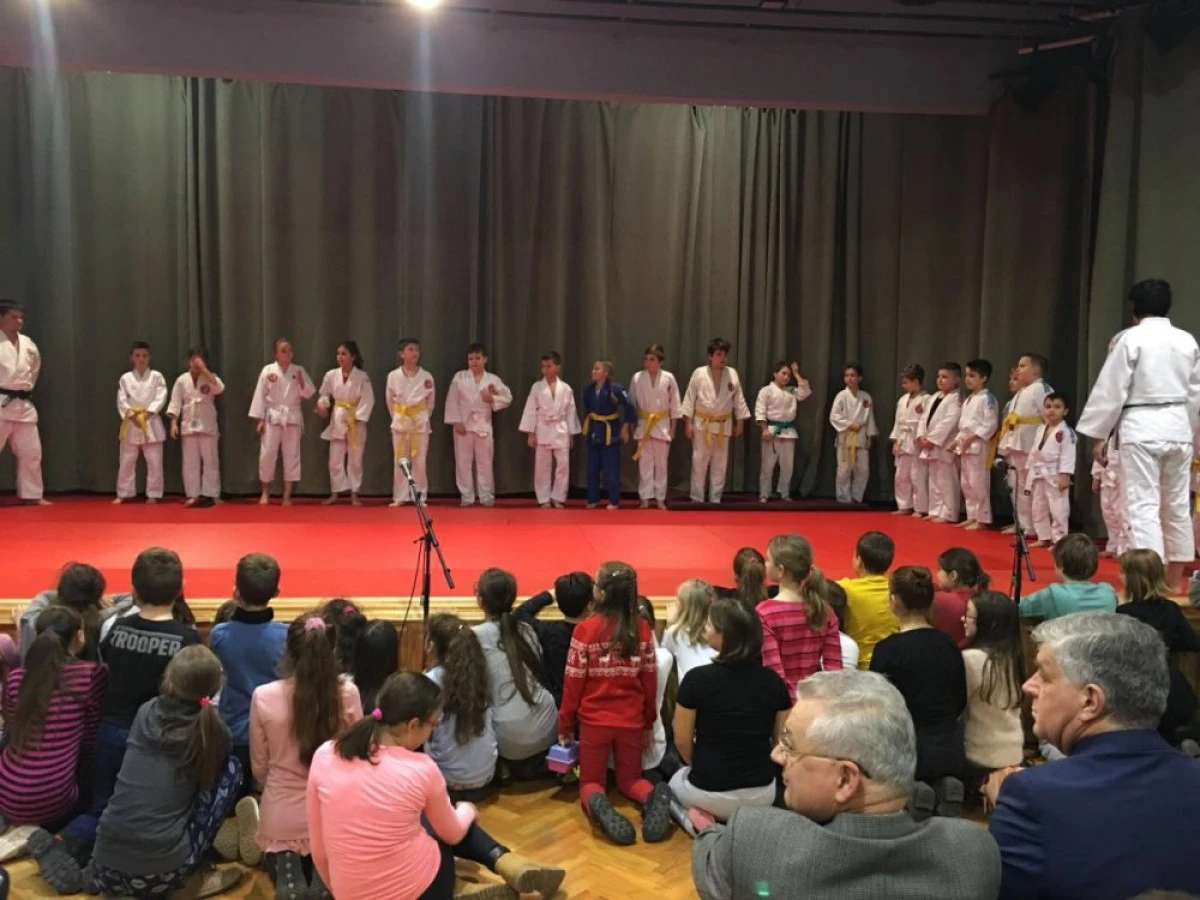 Demonstraţie de Judo la Liceul „Nicolae Bălcescu” din Gyula