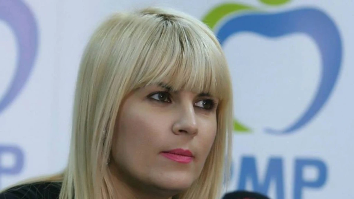 DENUNTUL ELENEI UDREA A FOST CLASAT DE DNA. ACUZATIILE N-AU PUTUT FI PROBATE