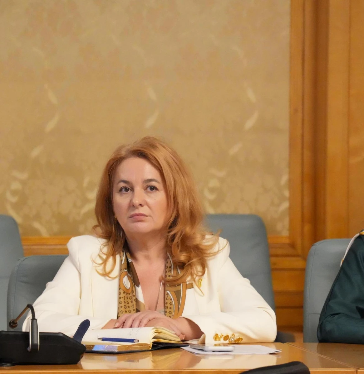 Deputat Geanina Pistru-Popa: „România nu poate fi guvernată cu «nu», «dar» și «mai vedem»”