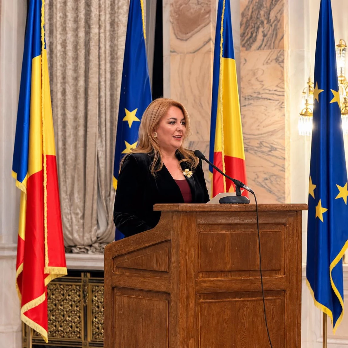 Deputat Geanina Pistru-Popa: „Siegfried Mureșan este pregătit să conducă un Guvern care să mențină România pe drumul european”