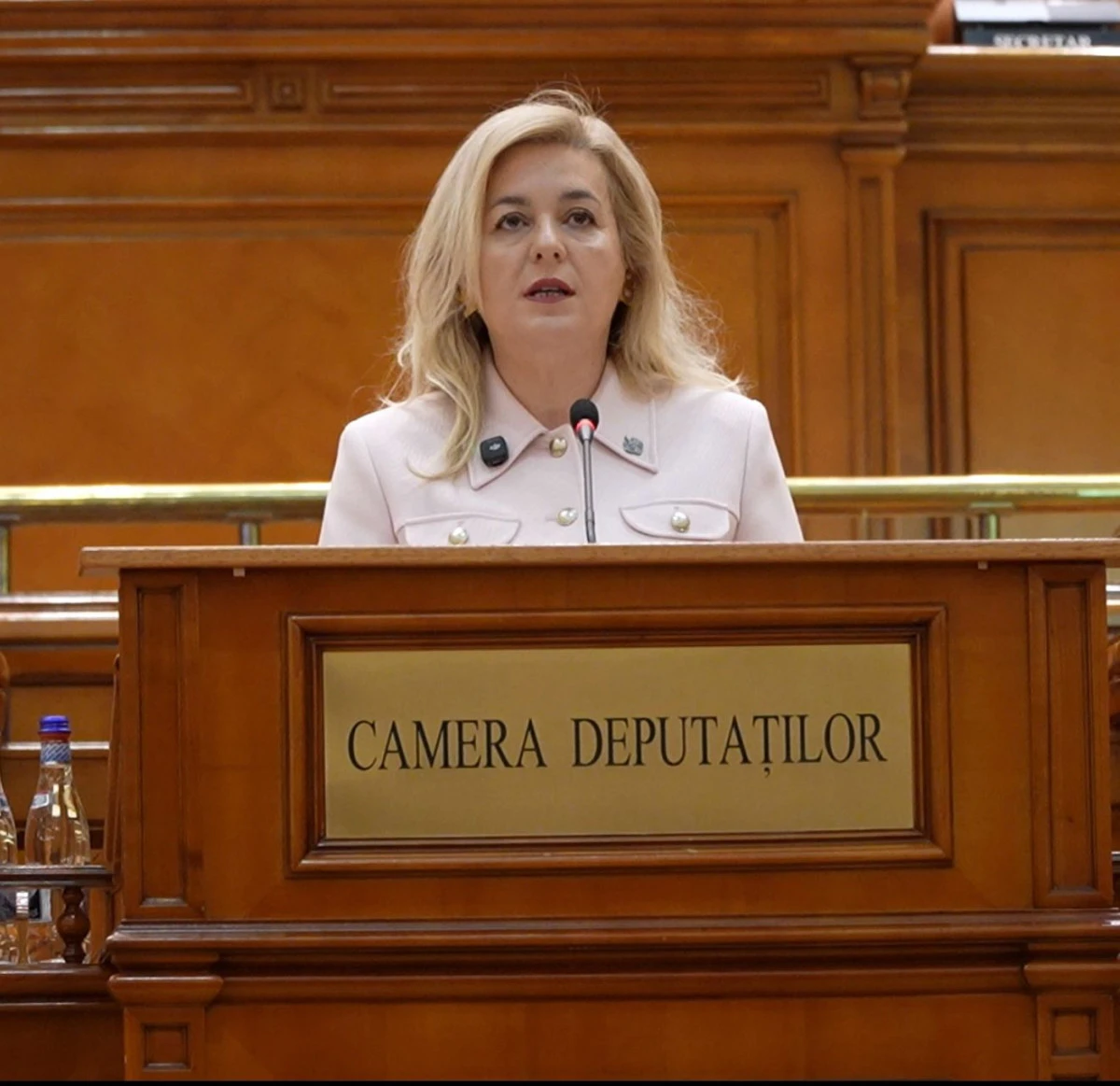 Deputat Geanina Pistru: Veteranii de război, văduvele acestora și pensionarii vor beneficia în continuare de facilități la transport 