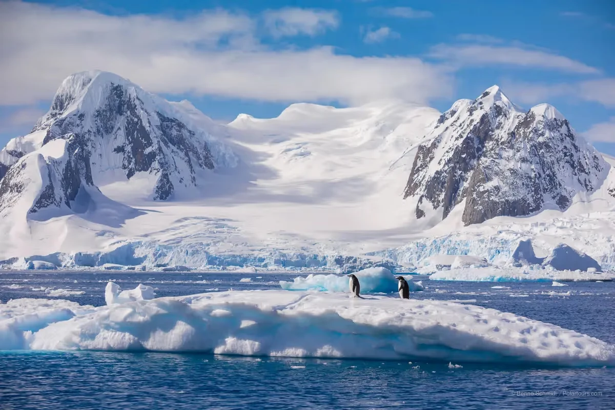 Descoperire după topirea ghețarilor: animale necunoscute, găsite în Antarctica