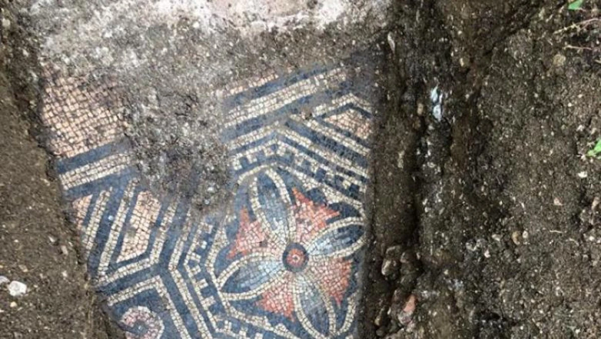 Descoperire impresionantă făcută sub o vie din Italia