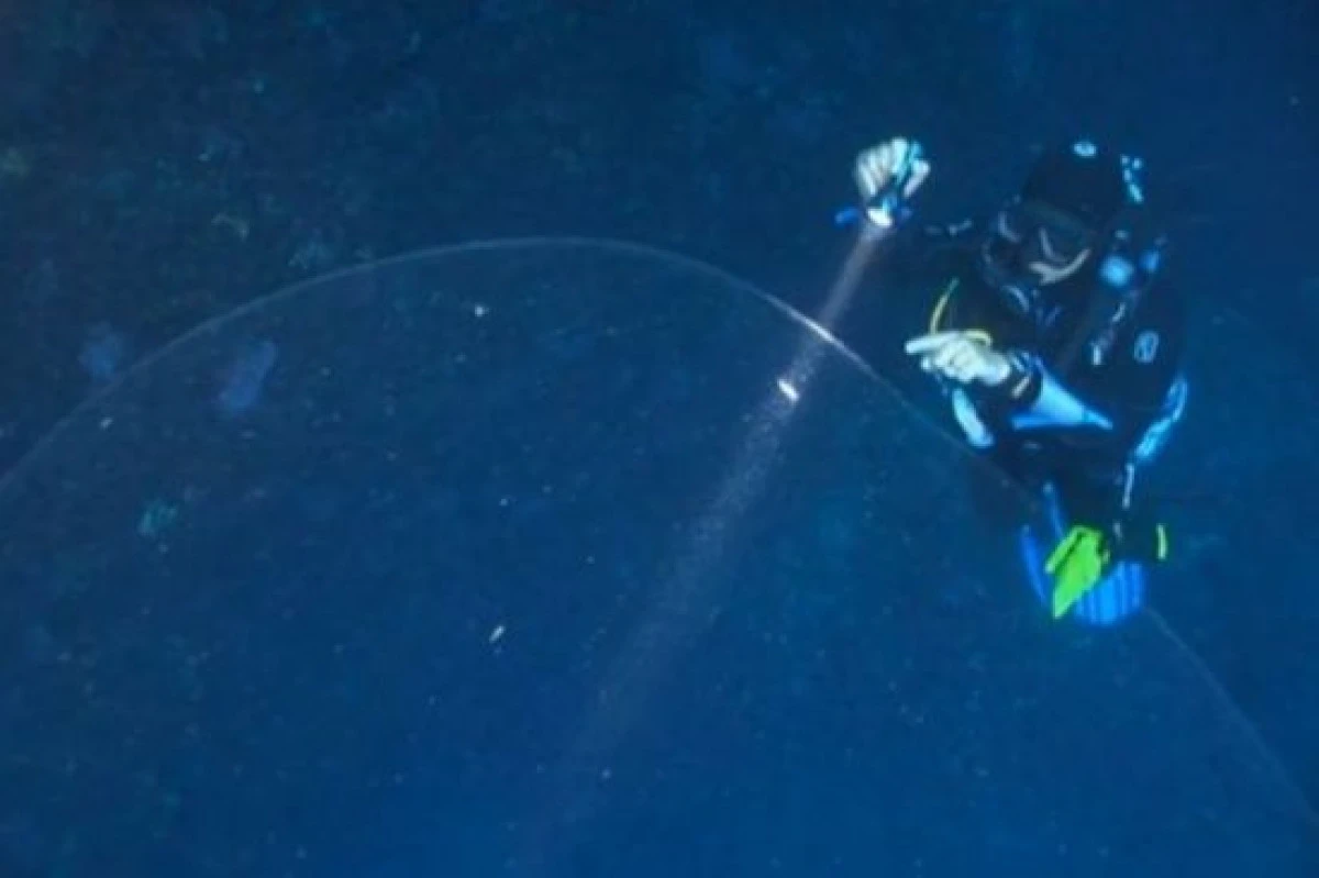 DESCOPERIRE IMPRESIONANTA IN ADANCURI. O SFERA GELATINOASA DE MARIMEA UNUI ELEFANT I-A UIMIT PE SCUFUNDATORI