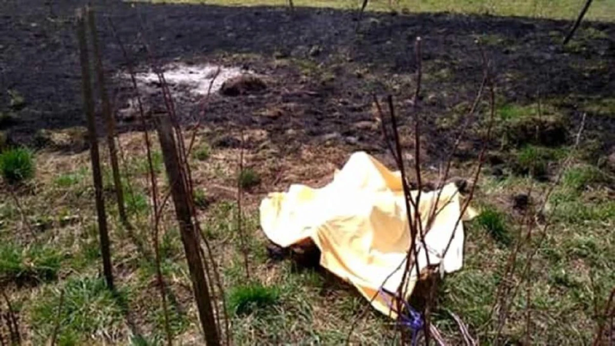 Descoperire macabră pe un câmp din Şagu: două persoane decedate şi o a treia cu un cuţit în abdomen
