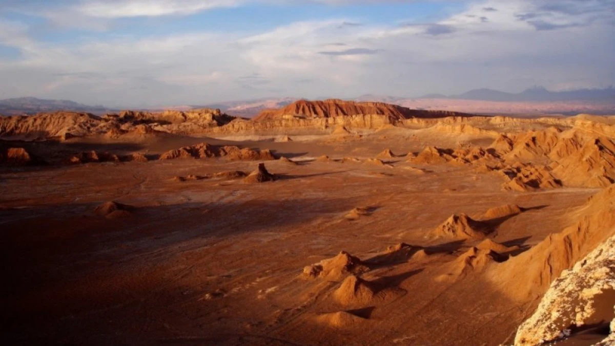 Deșertul Atacama, locul unde ploaia aduce moartea