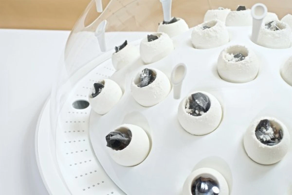 DESEURILE DIN PLASTIC POT FI TRANSFORMATE IN CIUPERCI COMESTIBILE