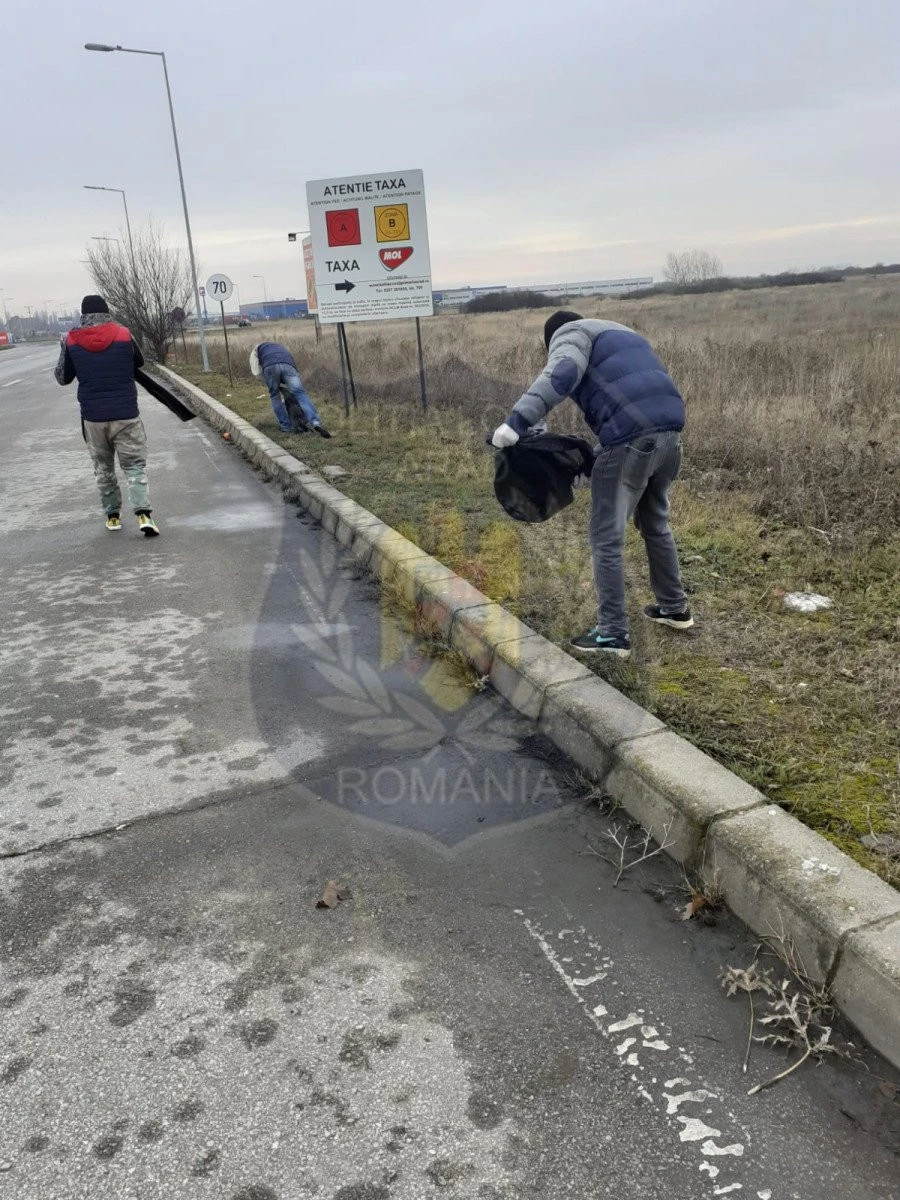Deținuții și asistații sociali, puși la muncă