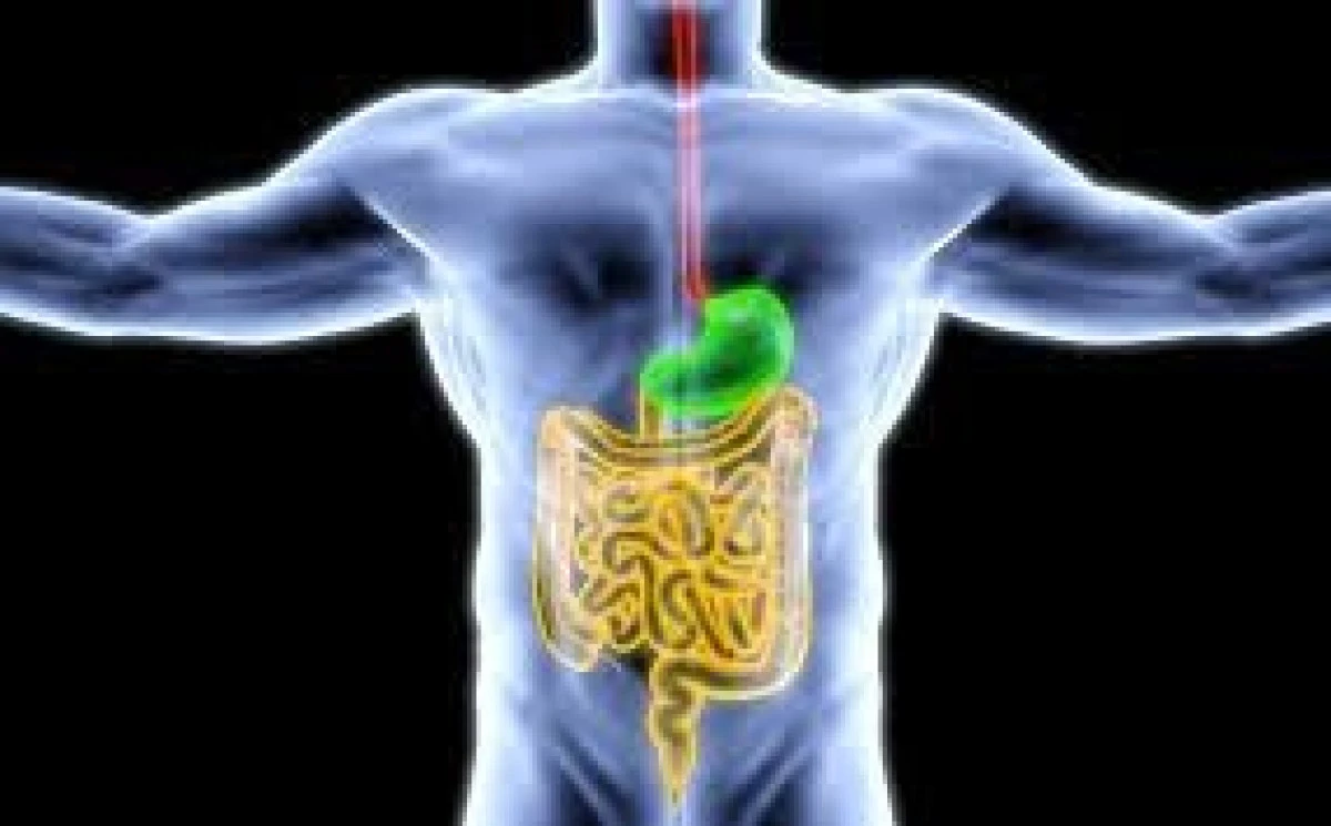 DETOXIFIEREA SISTEMULUI DIGESTIV