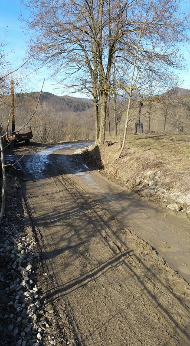Dezastru pe un drum judeţean din Arad! Galerie FOTO de coşmar!