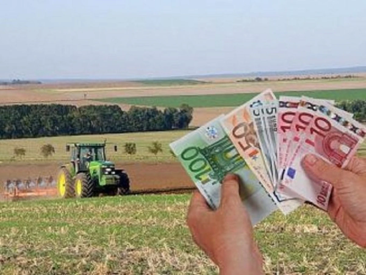 Din 16 octombrie începe plata subvențiilor pentru anul agricol 2017-2018