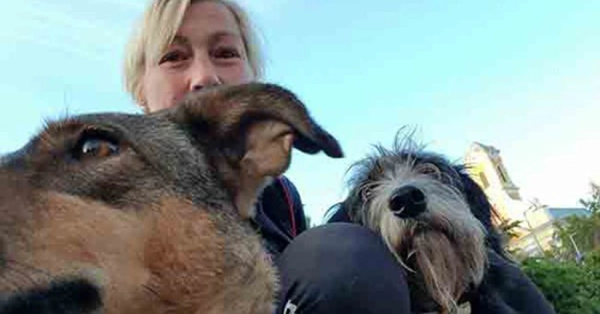 Din Olanda până în Arad! Marș de 1638 Km pentru animalele care suferă
