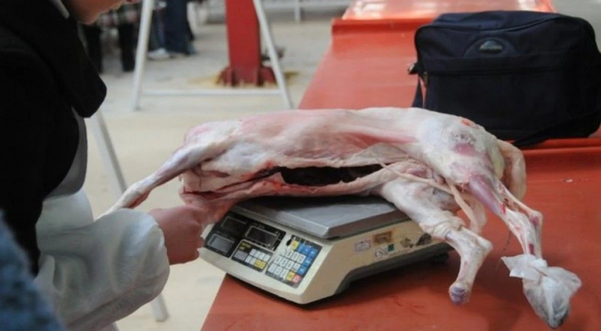 DIRECTIA SANITARA VETERINARA ARAD VA INTENSIFICA CONTROALELE IN AJUNUL SARBATORILOR PASCALE