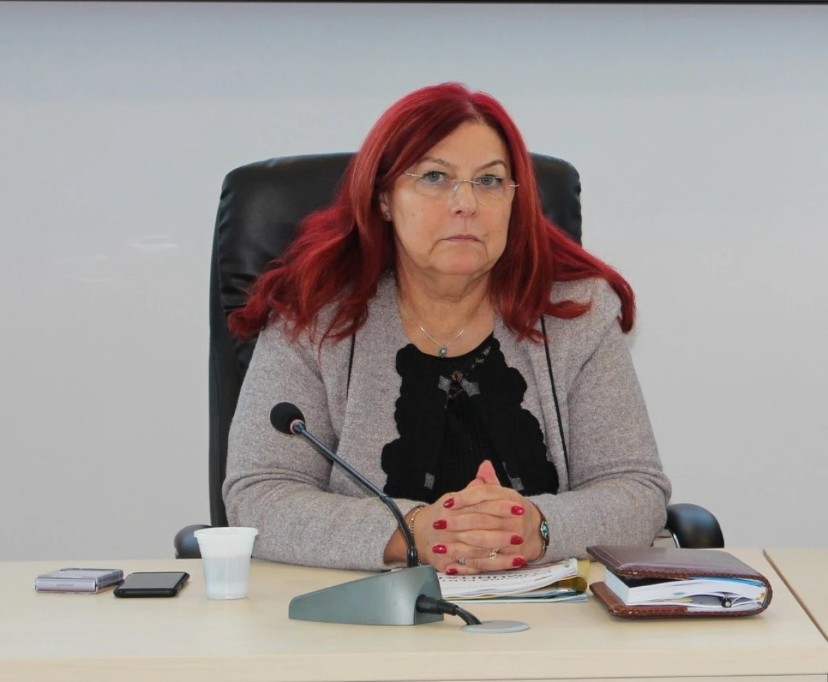Directorul Protecției Copilului Arad a ieșit la pensie
