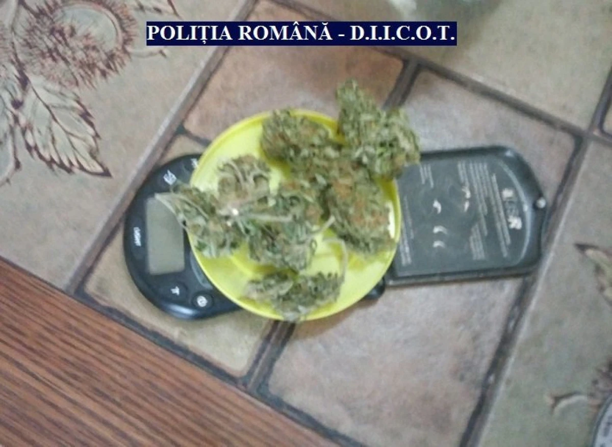 Doi arădeni au fost prinși în timp ce vindeau cannabis la Zărand