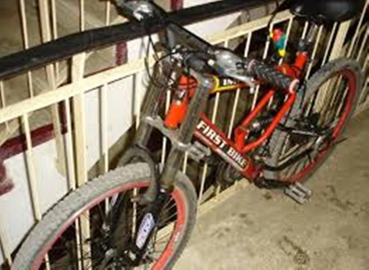 DOI MINORI AU SUSTRAS O BICICLETA DIN SCARA UNUI BLOC