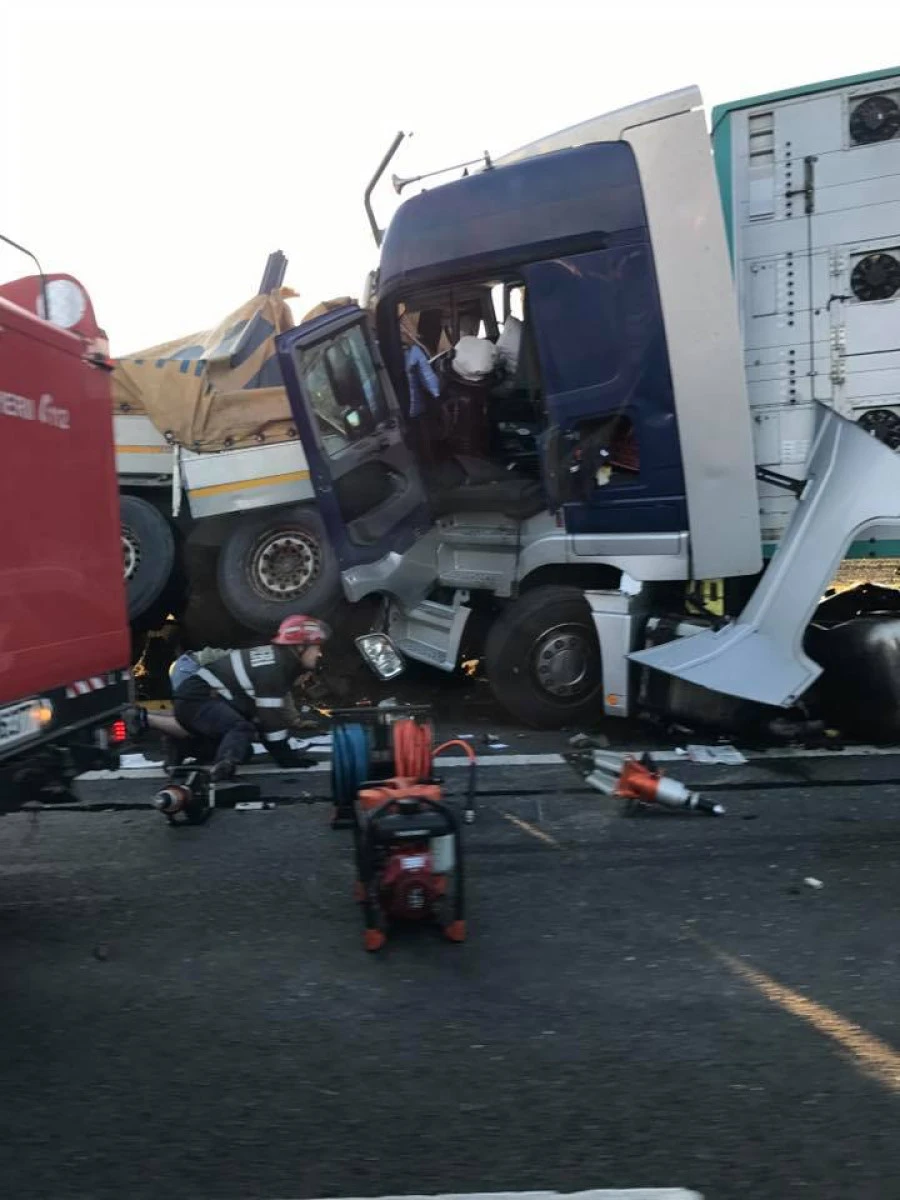 Doi morţi, în urma unui accident produs pe autostrada Arad-Timişoara (FOTO)