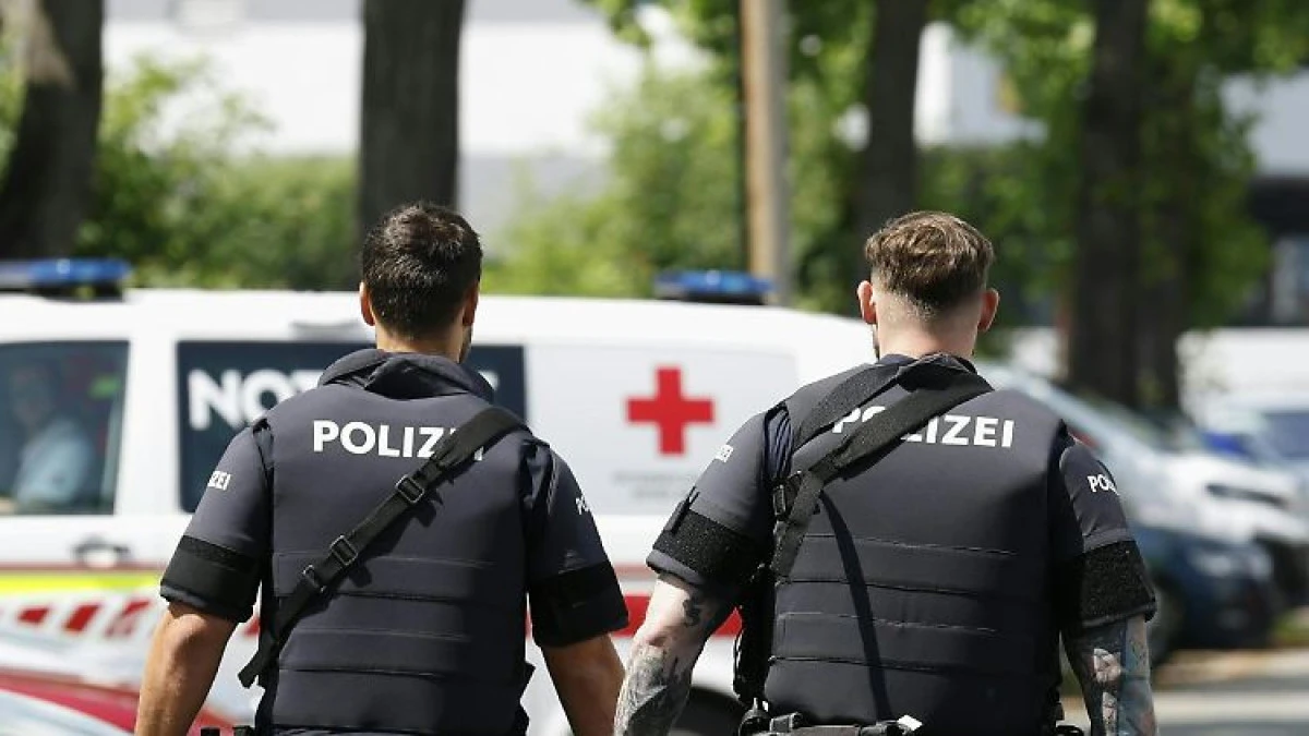 Doi români, răniți în atacul armat de la o școală din Austria