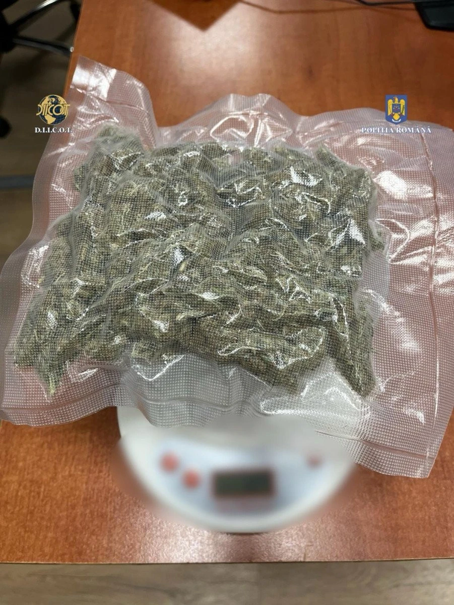 Doi traficanți de droguri au fost "săltați" de polițiștii SCCO Arad