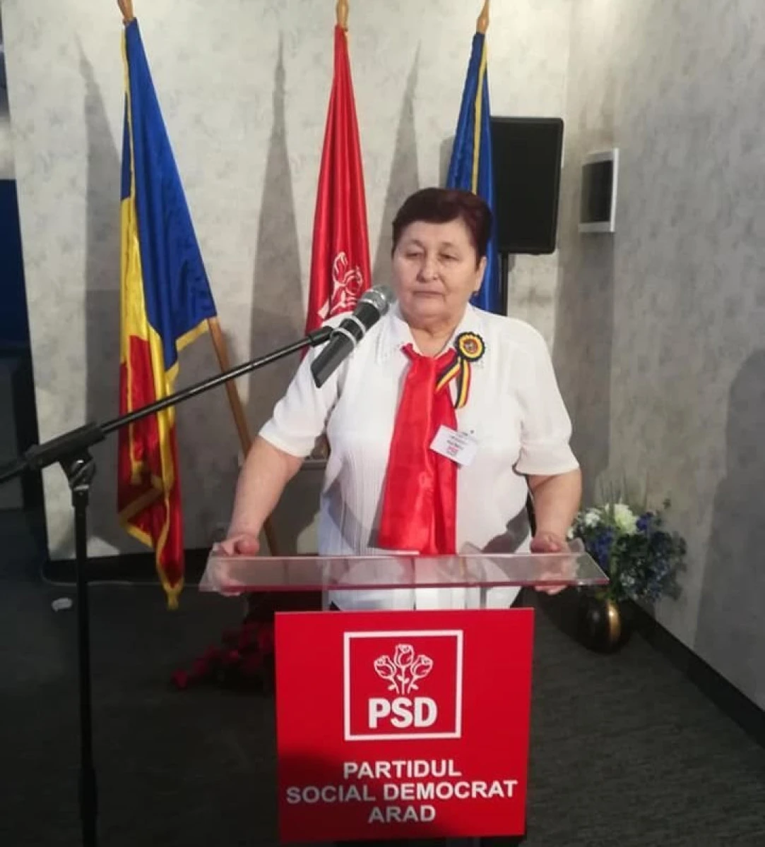 Doina Nan (PSD): "Nu se poate nu e un argument pentru milioanele de pensionari din România!"