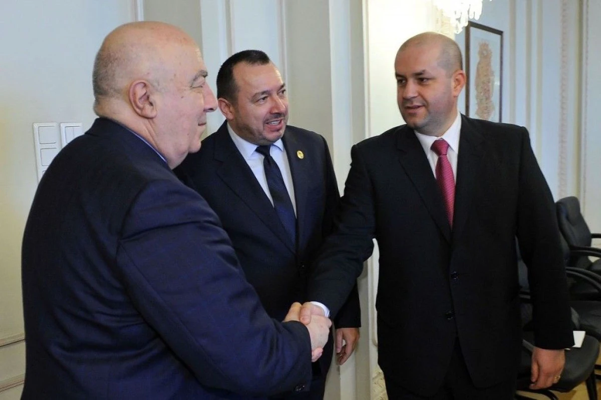 DOREL CAPRAR : „ROMANIA SUSTINE IN MOD CATEGORIC ASPIRATIILE EUROATLANTICE ALE GEORGIEI"