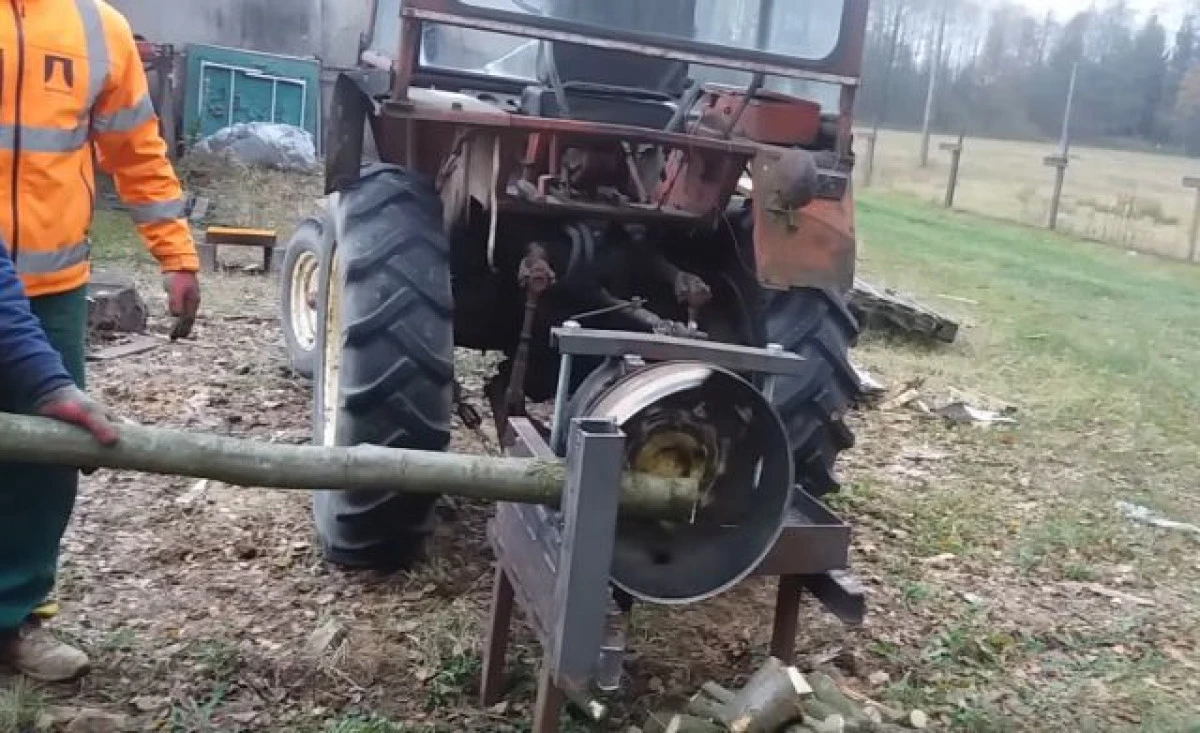 Dosar penal pentru că a tăiat ilegal 18 arbori