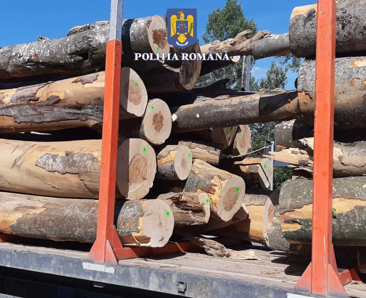 Dosare penale în urma unui control la un ocol silvic și operatori economici din județul Arad