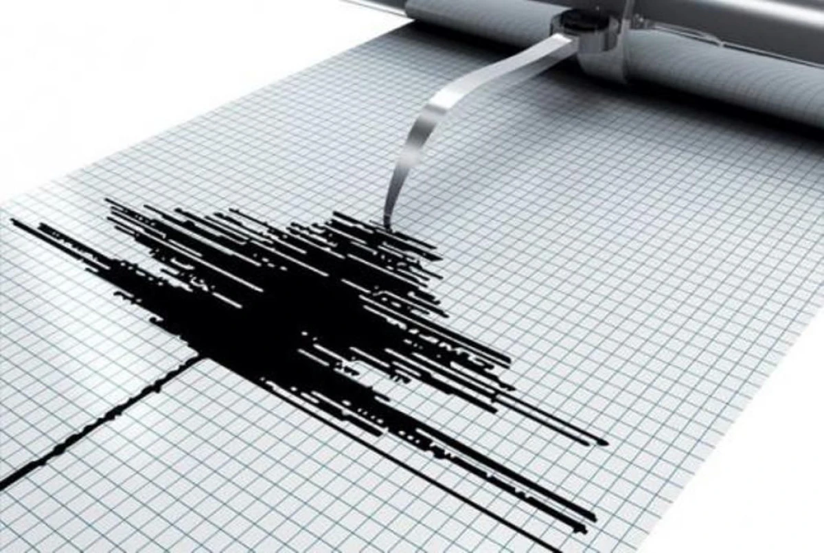 Două cutremure neobișnuite au zguduit Aradul azi noapte. Ce spun seismologii